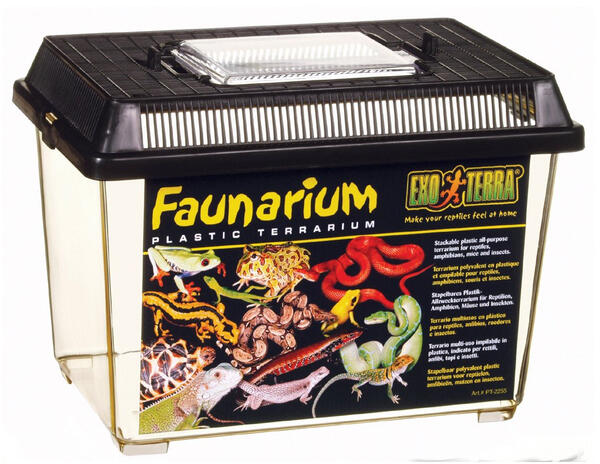 Terrárium, vivárium
