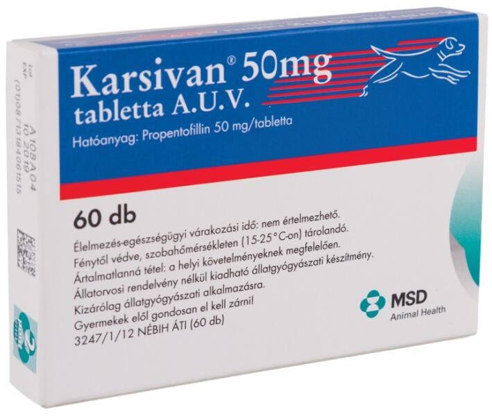 Vitamin, táplálékkiegészítő kutyáknak