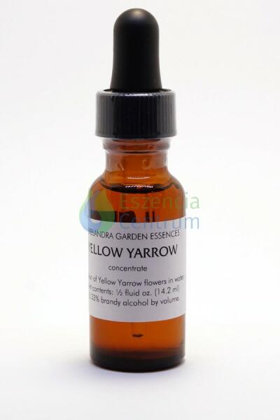 Zergevirág (Doronicum pardalianches - Leopardsbane) Bailey virágeszencia 10ml