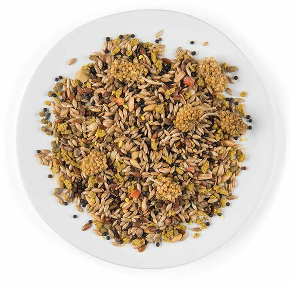 Witte Molen - PUUR Large parakeet & cockatoo - keverék nagy papagájoknak és kakaduknak 750 g