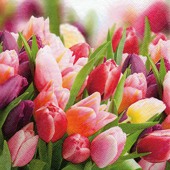 Ti-Flair - Szalvéta 33X33 cm 3 Rétegű 20 lap/Csomag Romantic Border Silver-White 375413 (375413)