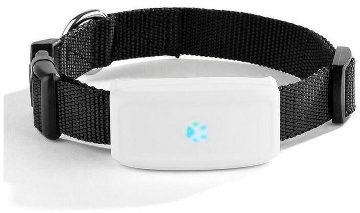 Tractive - DOG 4 - white TRNJAWH