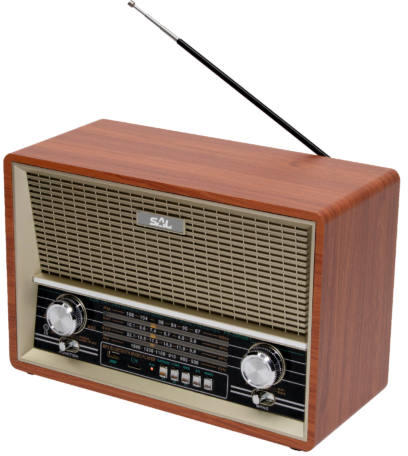Panasonic - RF-2400DEG-K